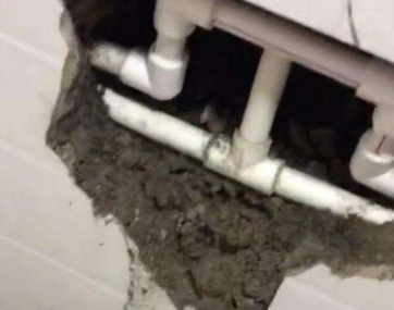 莫力达卫生间漏水哪家好