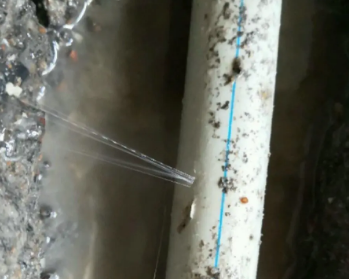 莫力达卫生间测漏水多少钱