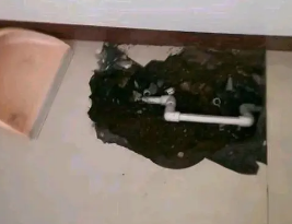 莫力达卫生间测漏水多少钱