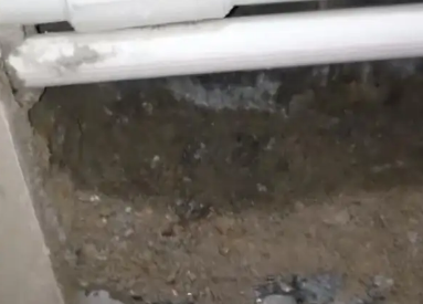 莫力达卫生间测漏水多少钱